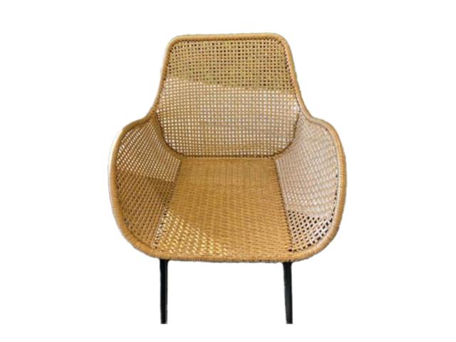 Rental store for NATURAL RATTAN ACCENT CHAIR in Mishawaka IN