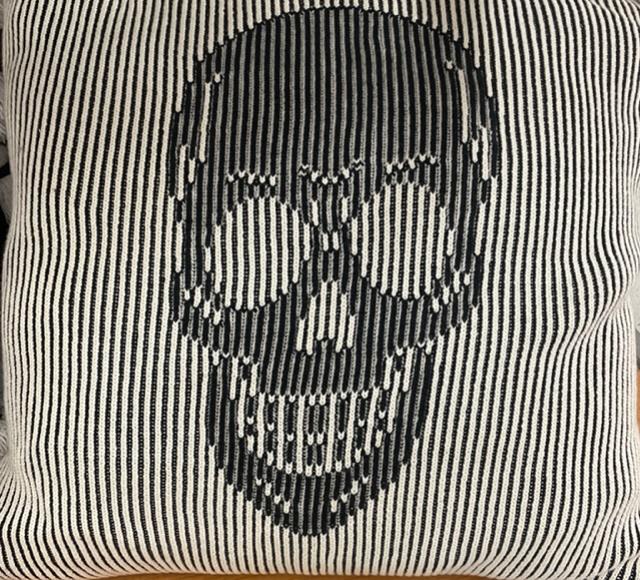 Rental store for SKELETON PILLOW in Mishawaka IN